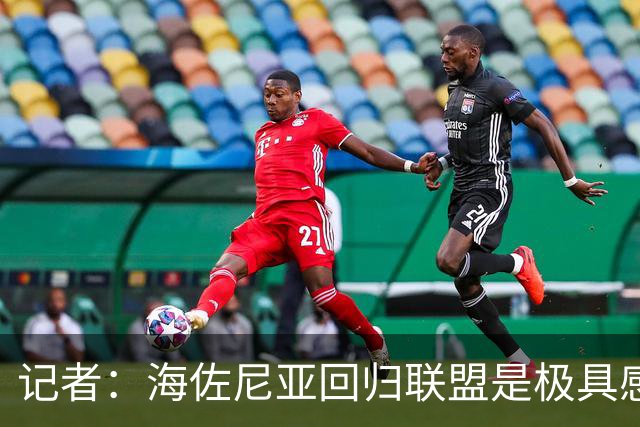 记者：海佐尼亚回归联盟是极具感染力的故事 证明扩军的必要性